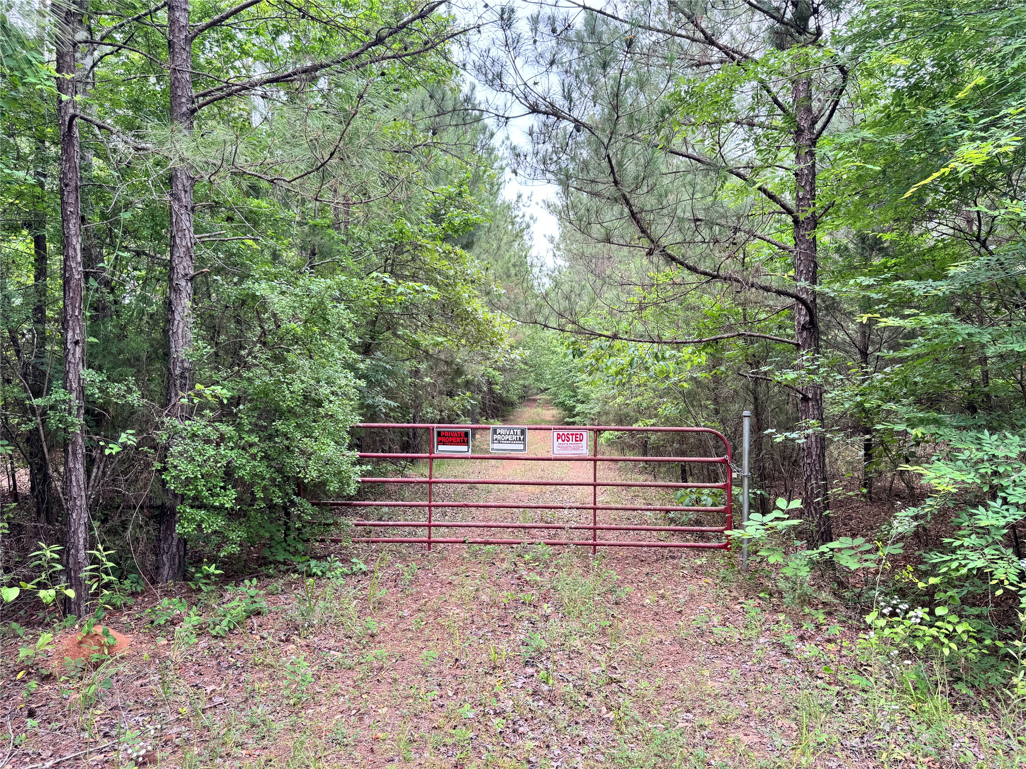 0 Plain Dealing Highway Plain Dealing LA 71064