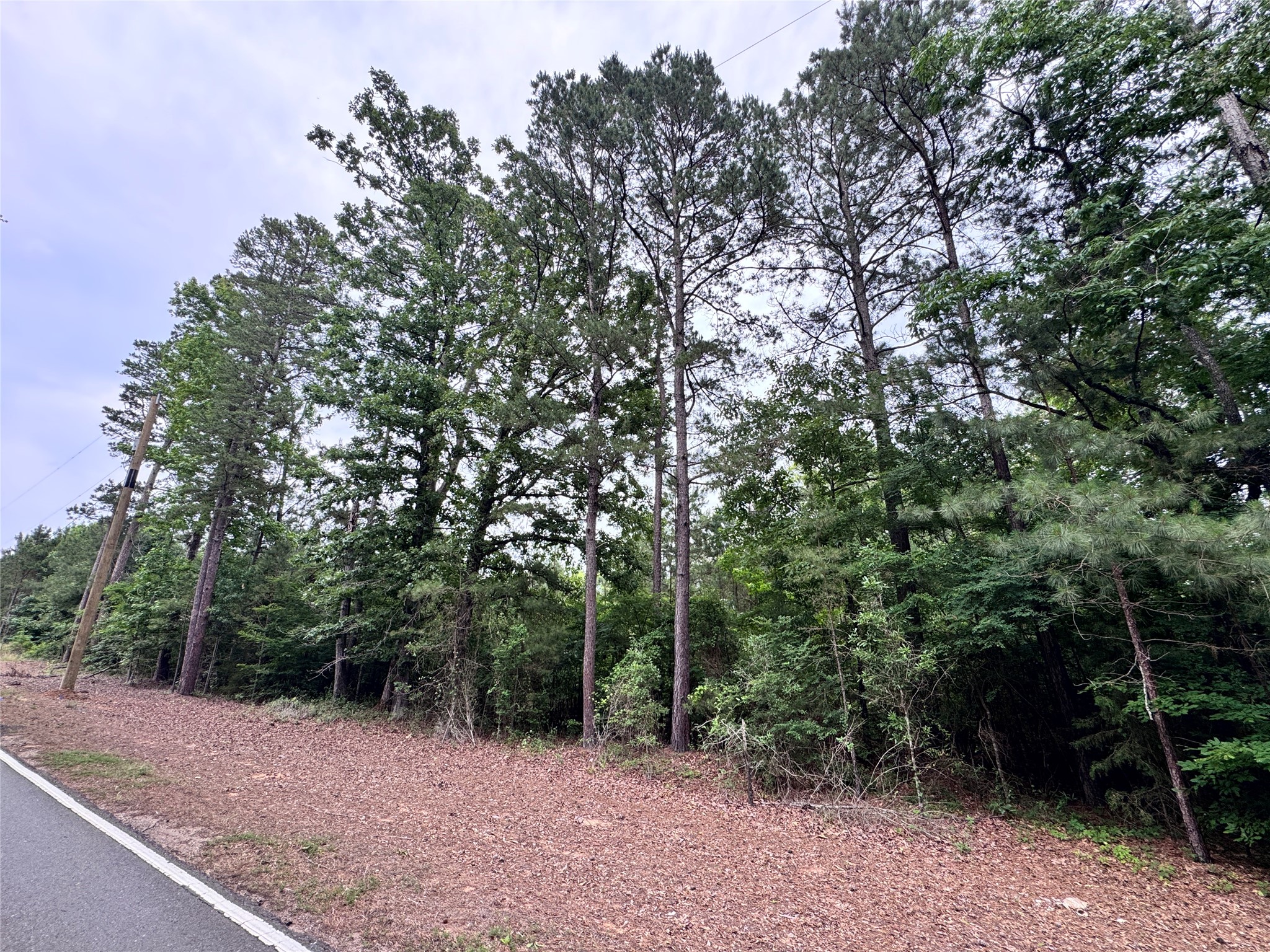 0 Plain Dealing Highway Plain Dealing LA 71064
