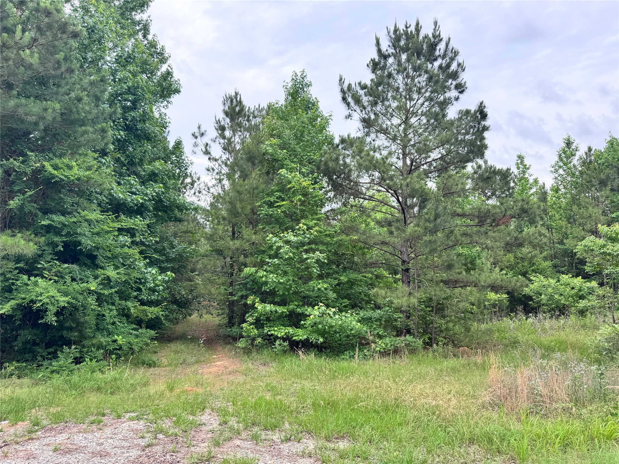 0 Plain Dealing Highway Plain Dealing LA 71064