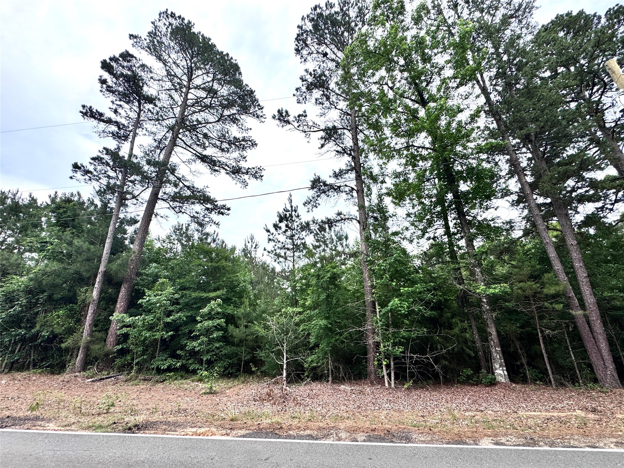 0 Plain Dealing Highway Plain Dealing LA 71064