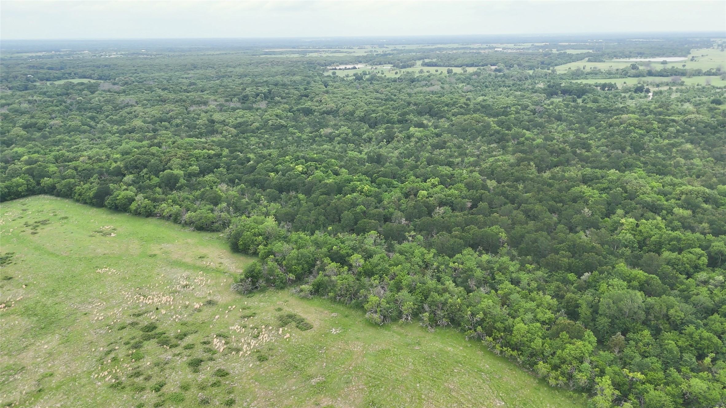 960 Vz Cr 2705 Mabank TX 75147