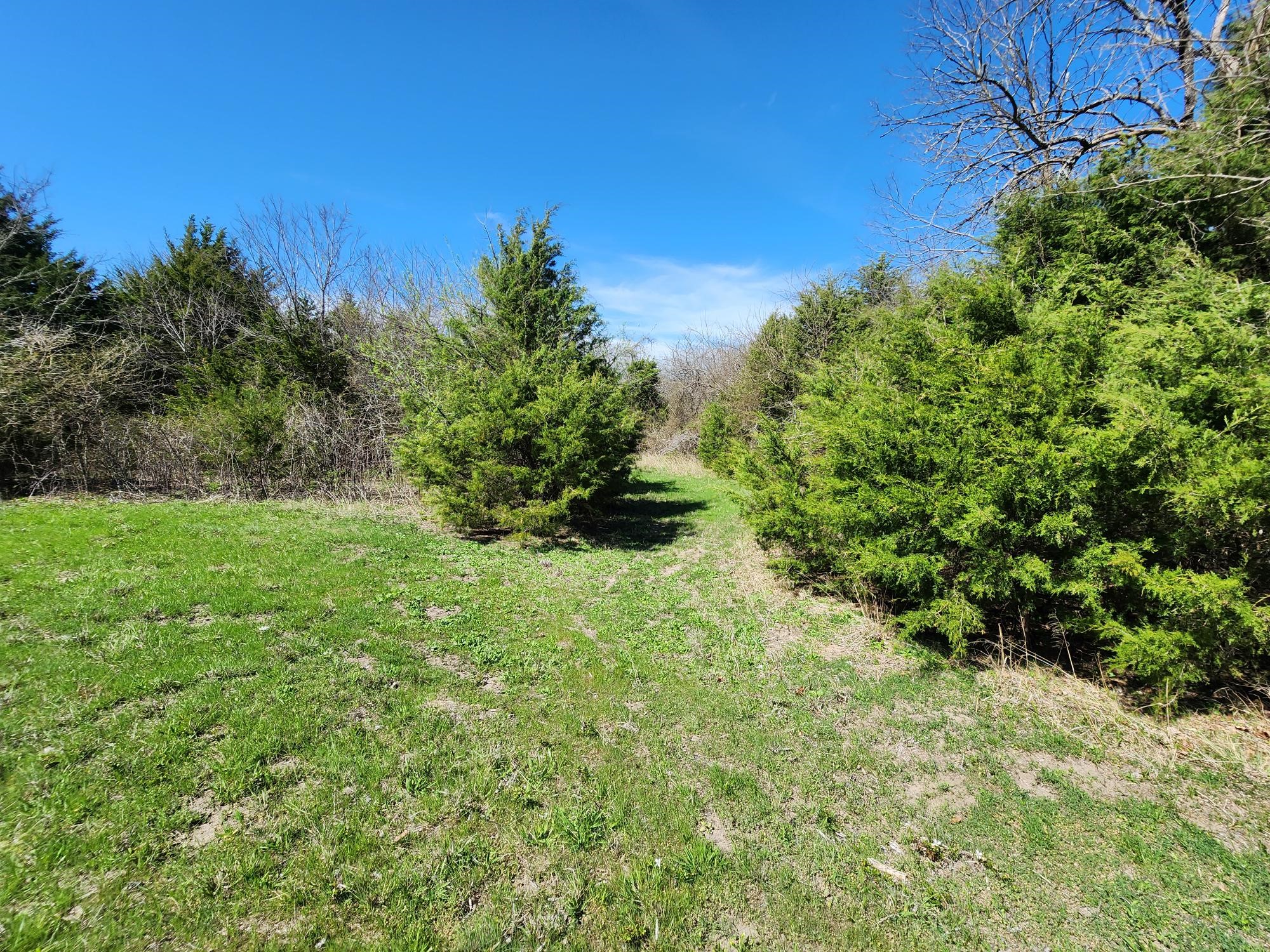 15957 Cr 566 Farmersville TX 75442