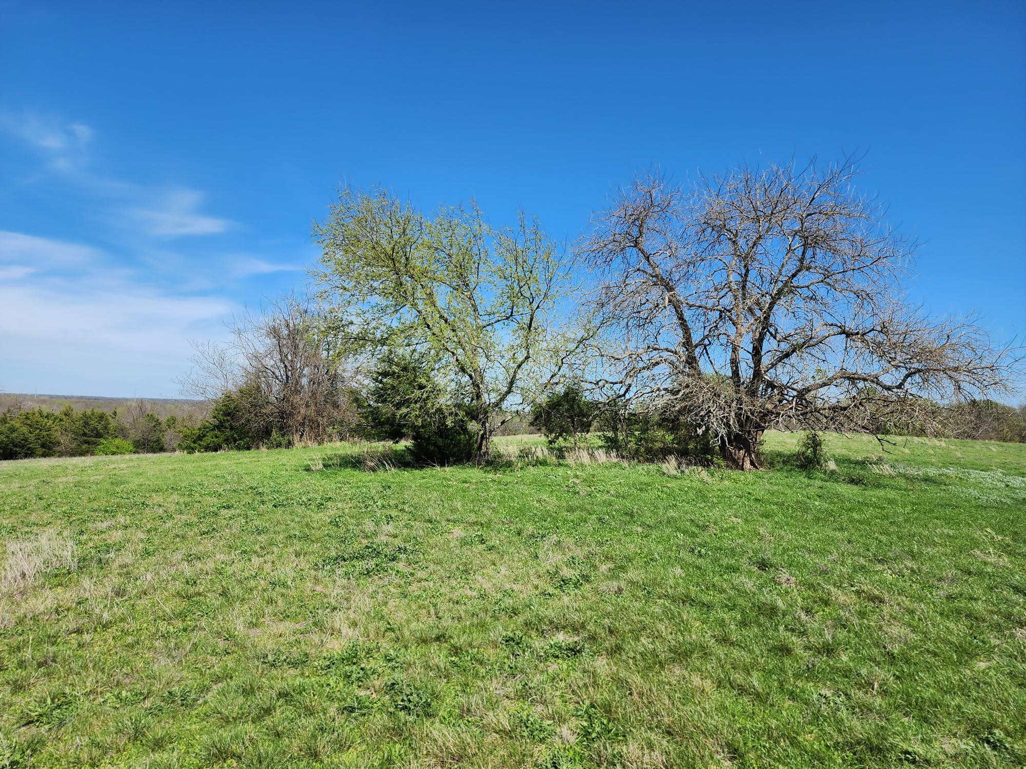 15957 Cr 566 Farmersville TX 75442