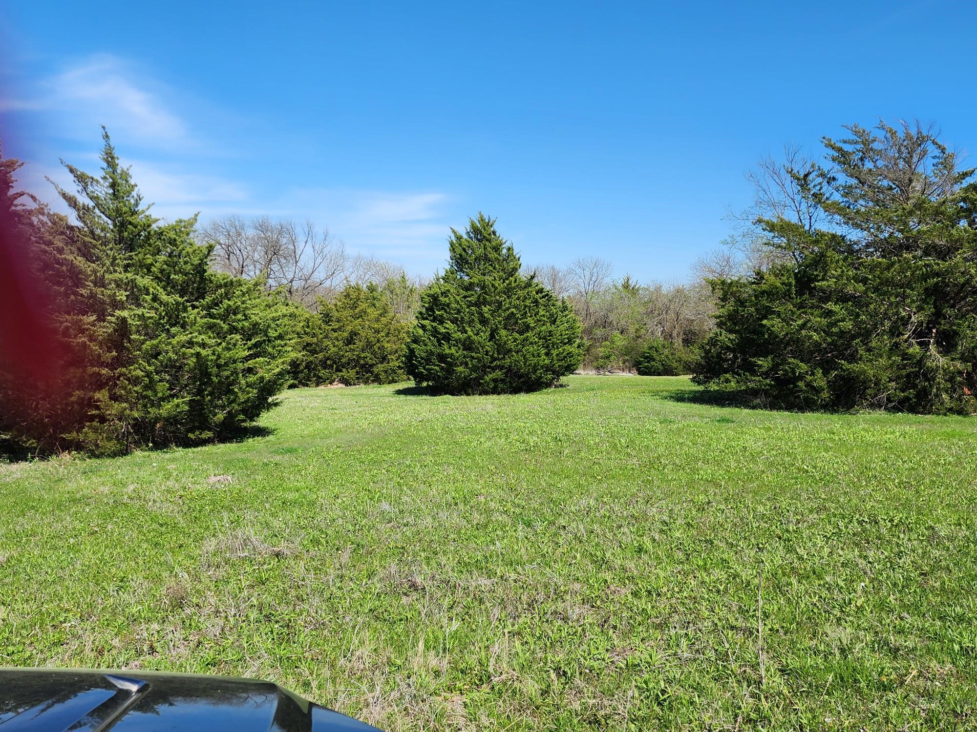 15957 Cr 566 Farmersville TX 75442