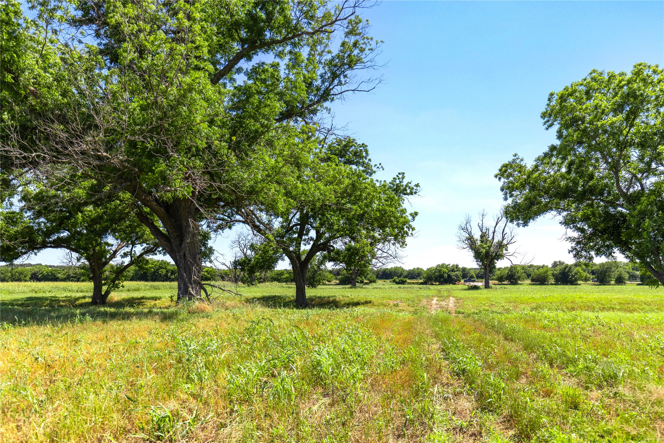 32 Ac. 000 Tx-6 Valley Mills TX 76689