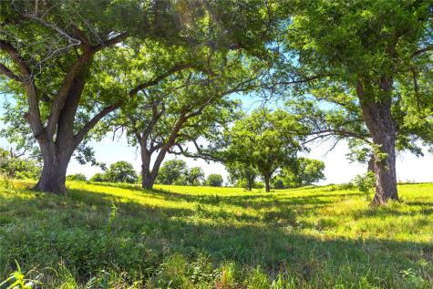 32 Ac. 000 Tx-6 Valley Mills TX 76689