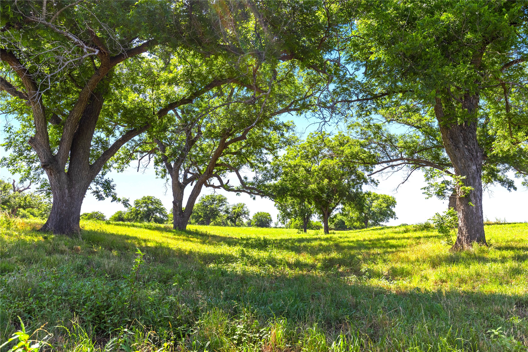 32 Ac. 000 Tx-6 Valley Mills TX 76689