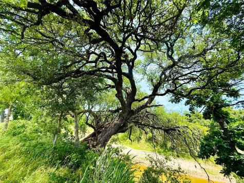 32 Ac. 000 Tx-6 Valley Mills TX 76689