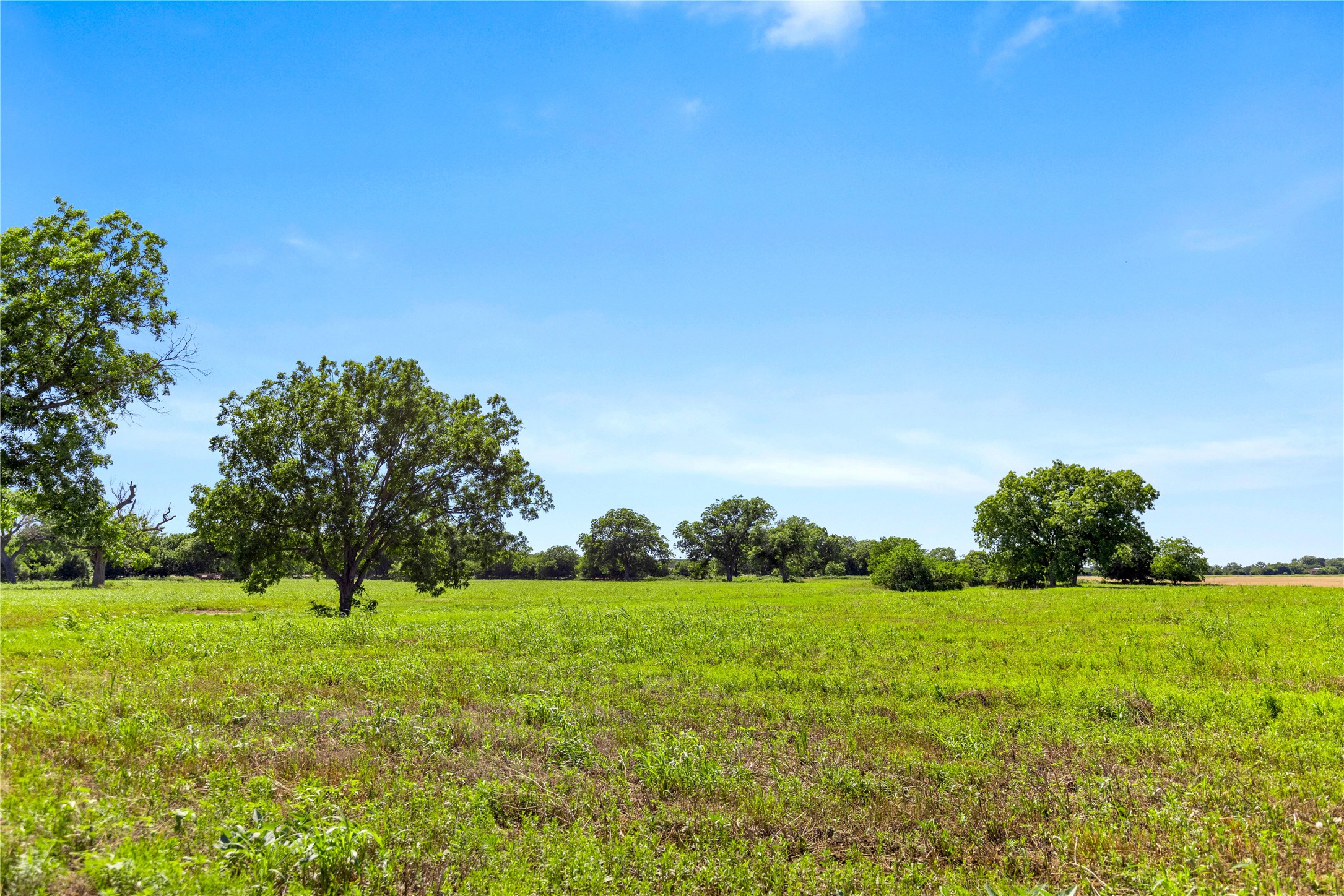 32 Ac. 000 Tx-6 Valley Mills TX 76689