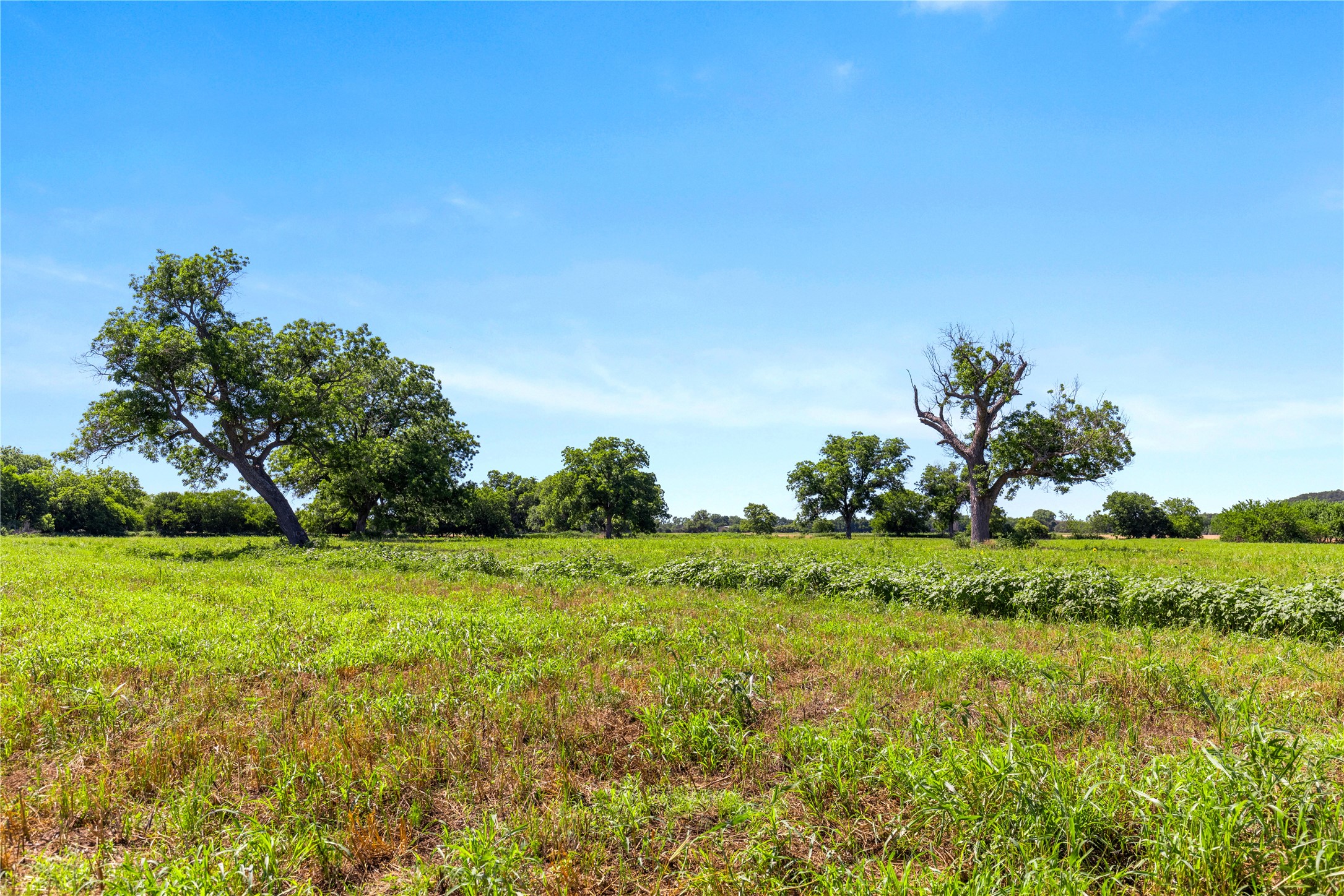 32 Ac. 000 Tx-6 Valley Mills TX 76689