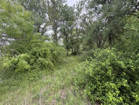 118 Demonbreun Court Chico TX 76431