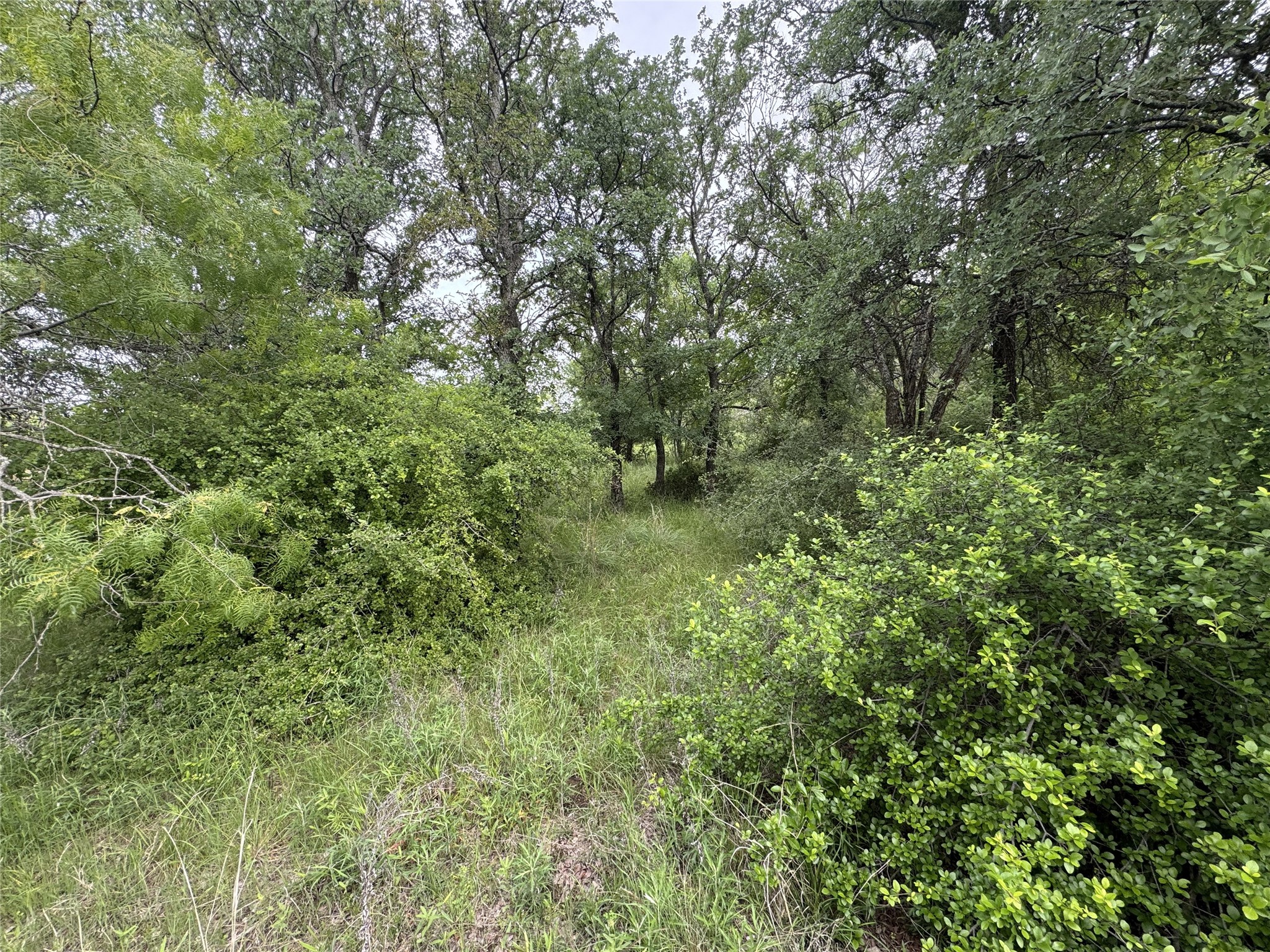 118 Demonbreun Court Chico TX 76431