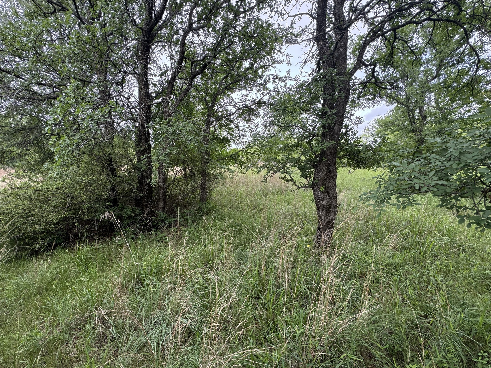 118 Demonbreun Court Chico TX 76431