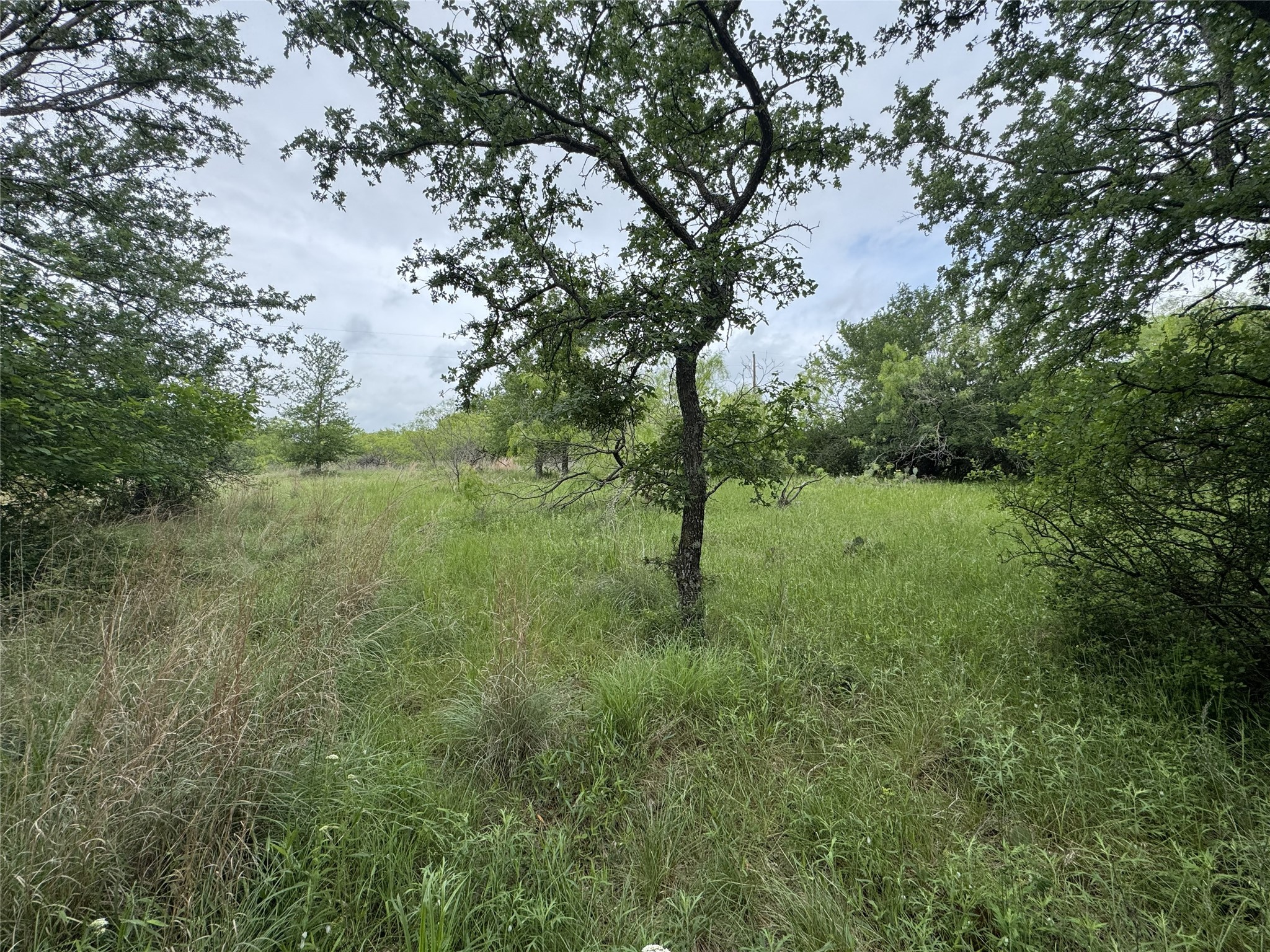 118 Demonbreun Court Chico TX 76431