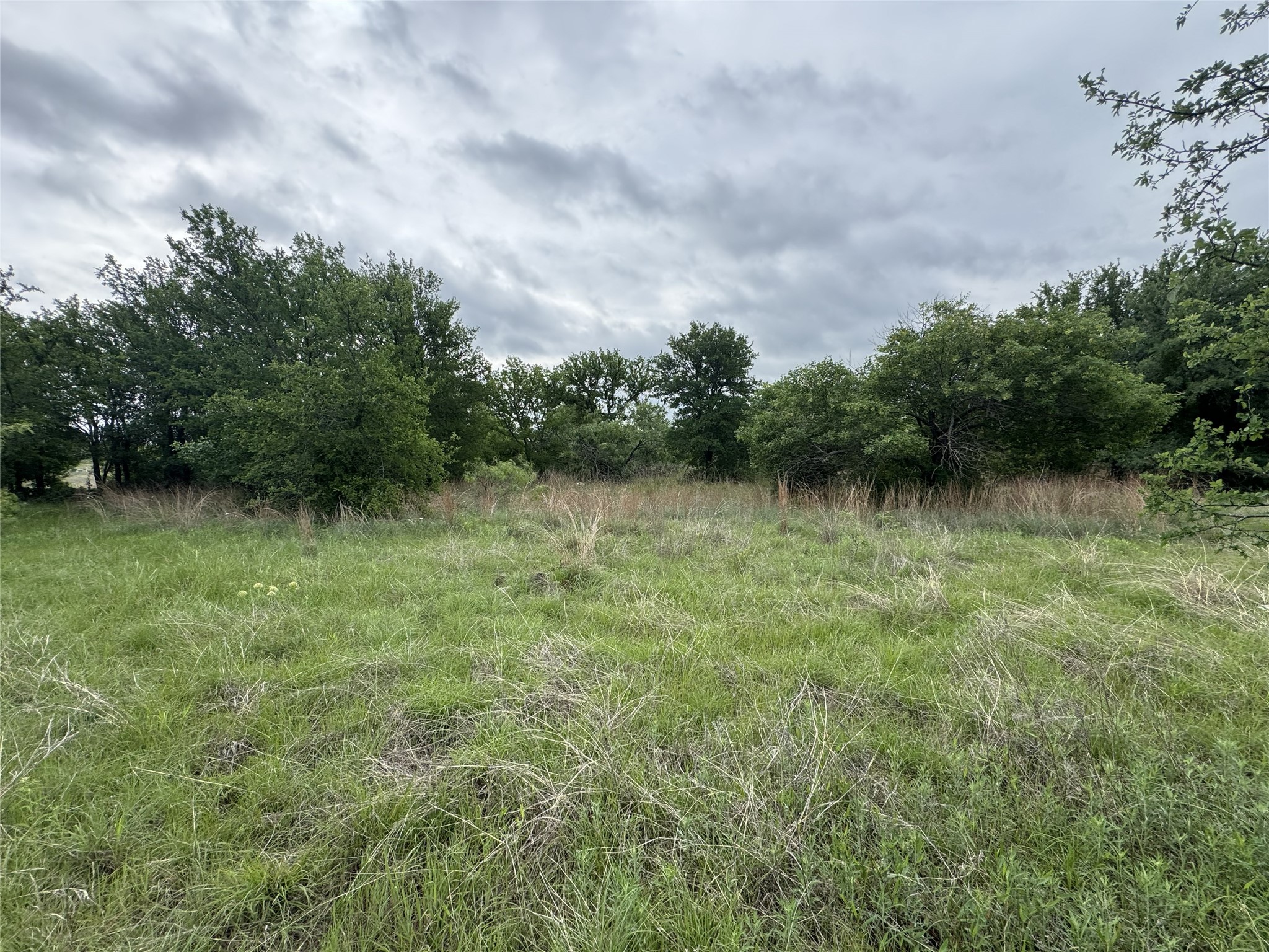 118 Demonbreun Court Chico TX 76431