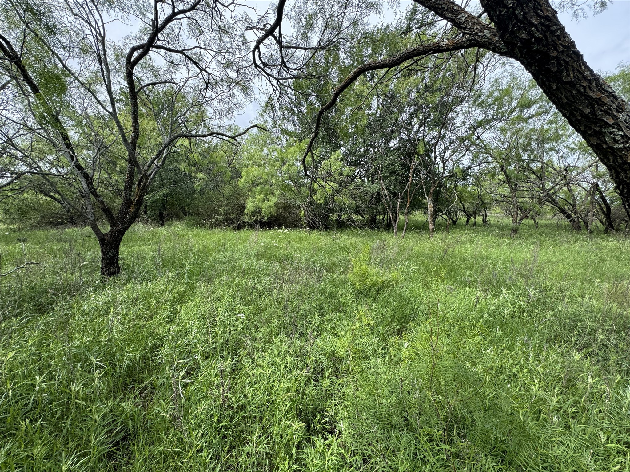 118 Demonbreun Court Chico TX 76431