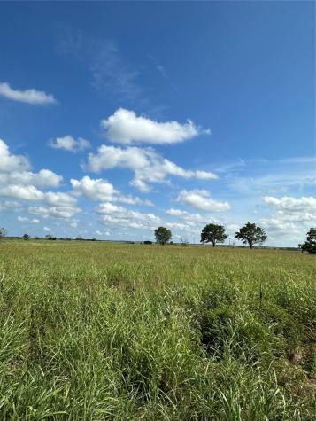 Tract 1 County Road 3430 Honey Grove TX 75446
