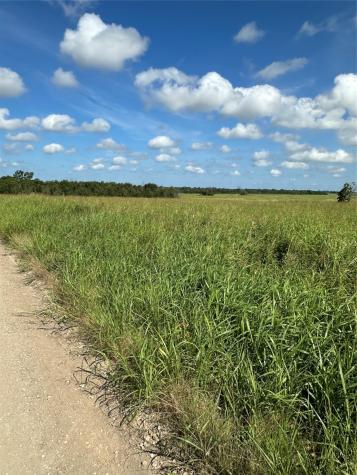 Tract 1 County Road 3430 Honey Grove TX 75446