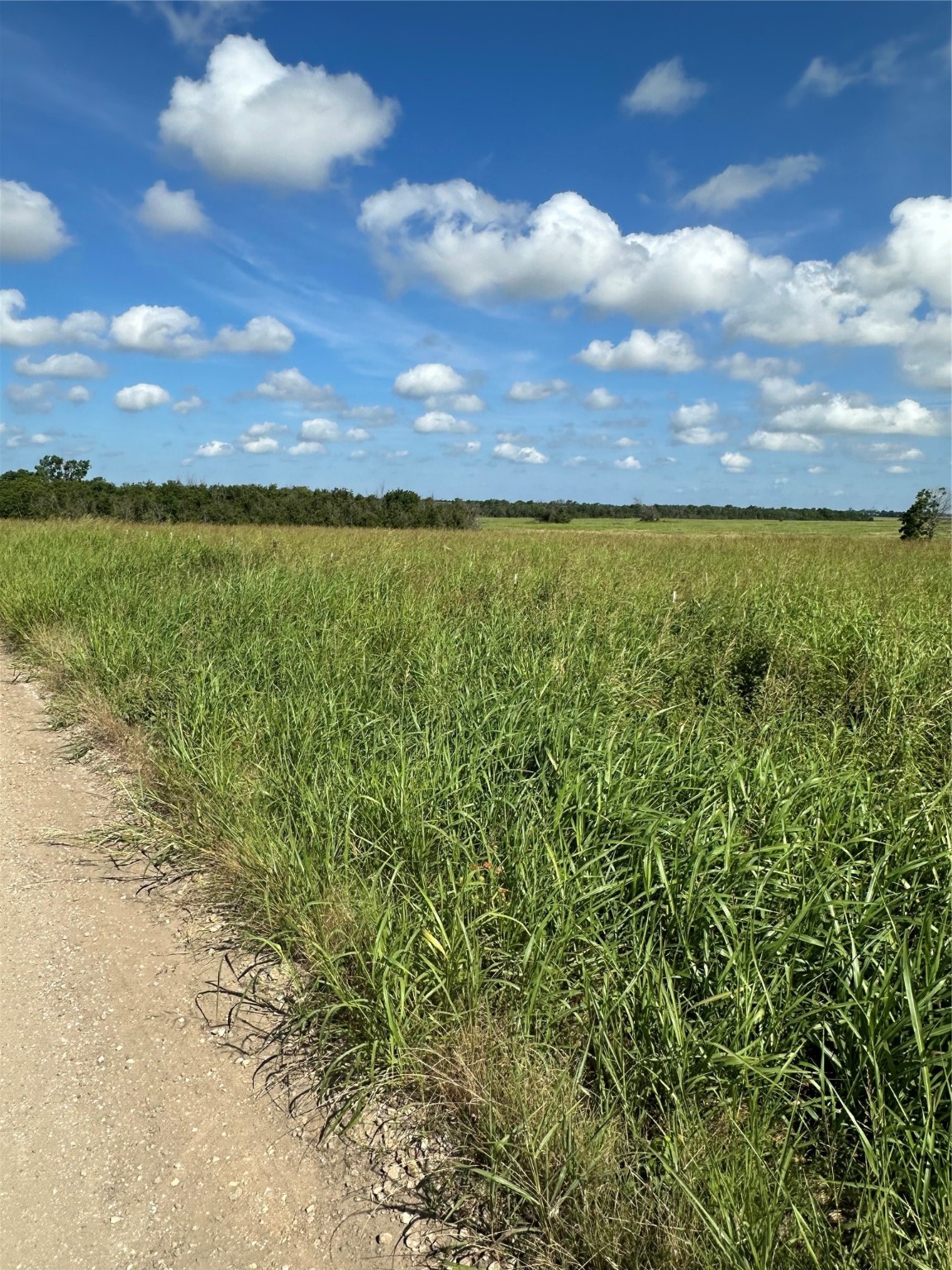 Tract 1 County Road 3430 Honey Grove TX 75446