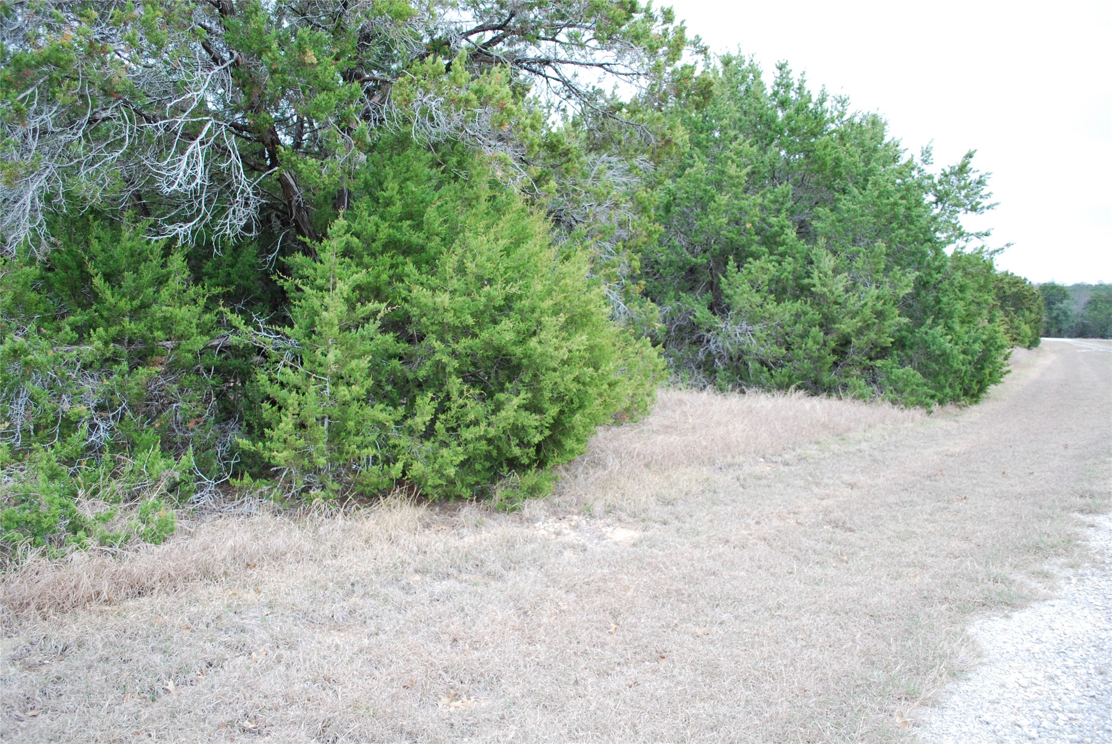 43111 Indian Blanket Drive Whitney TX 76692
