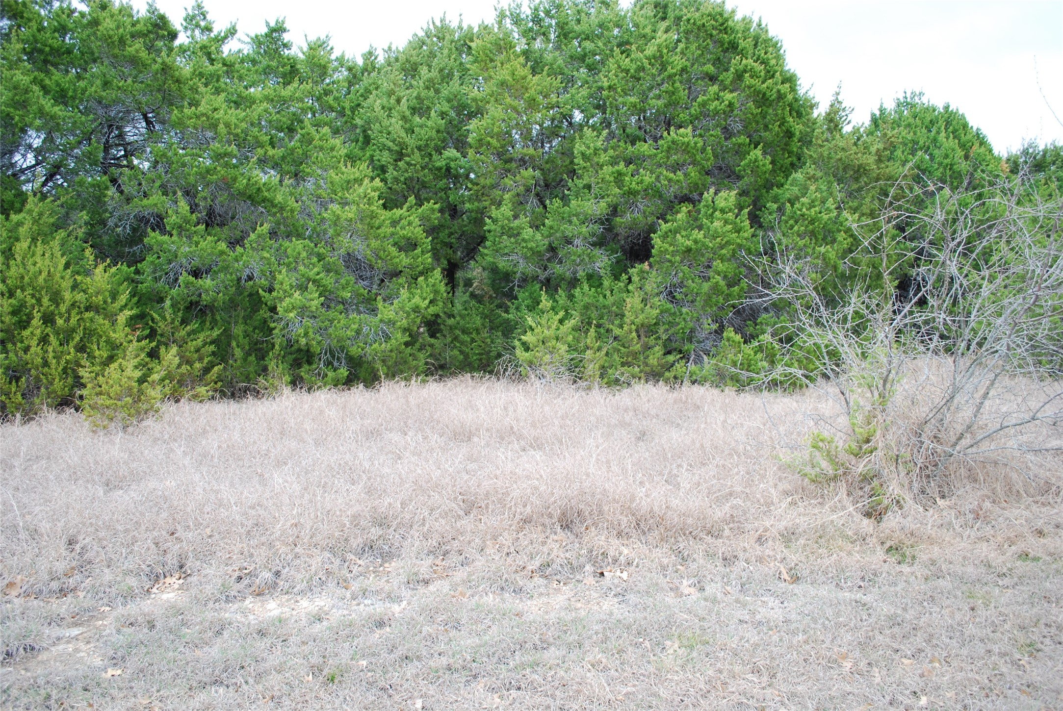 43111 Indian Blanket Drive Whitney TX 76692