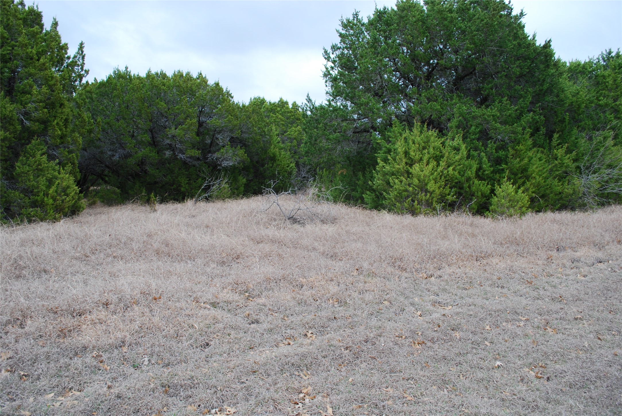 43111 Indian Blanket Drive Whitney TX 76692