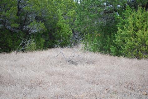 43111 Indian Blanket Drive Whitney TX 76692