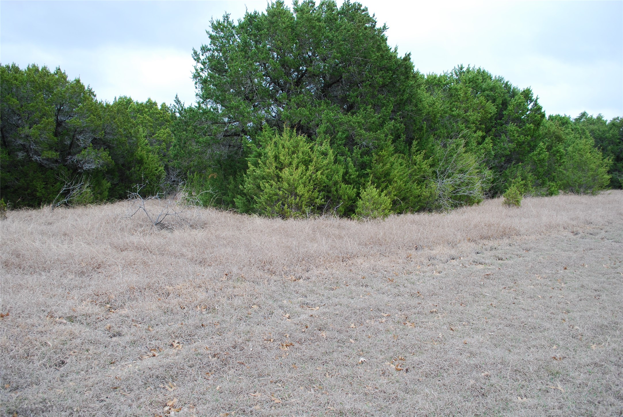 43111 Indian Blanket Drive Whitney TX 76692