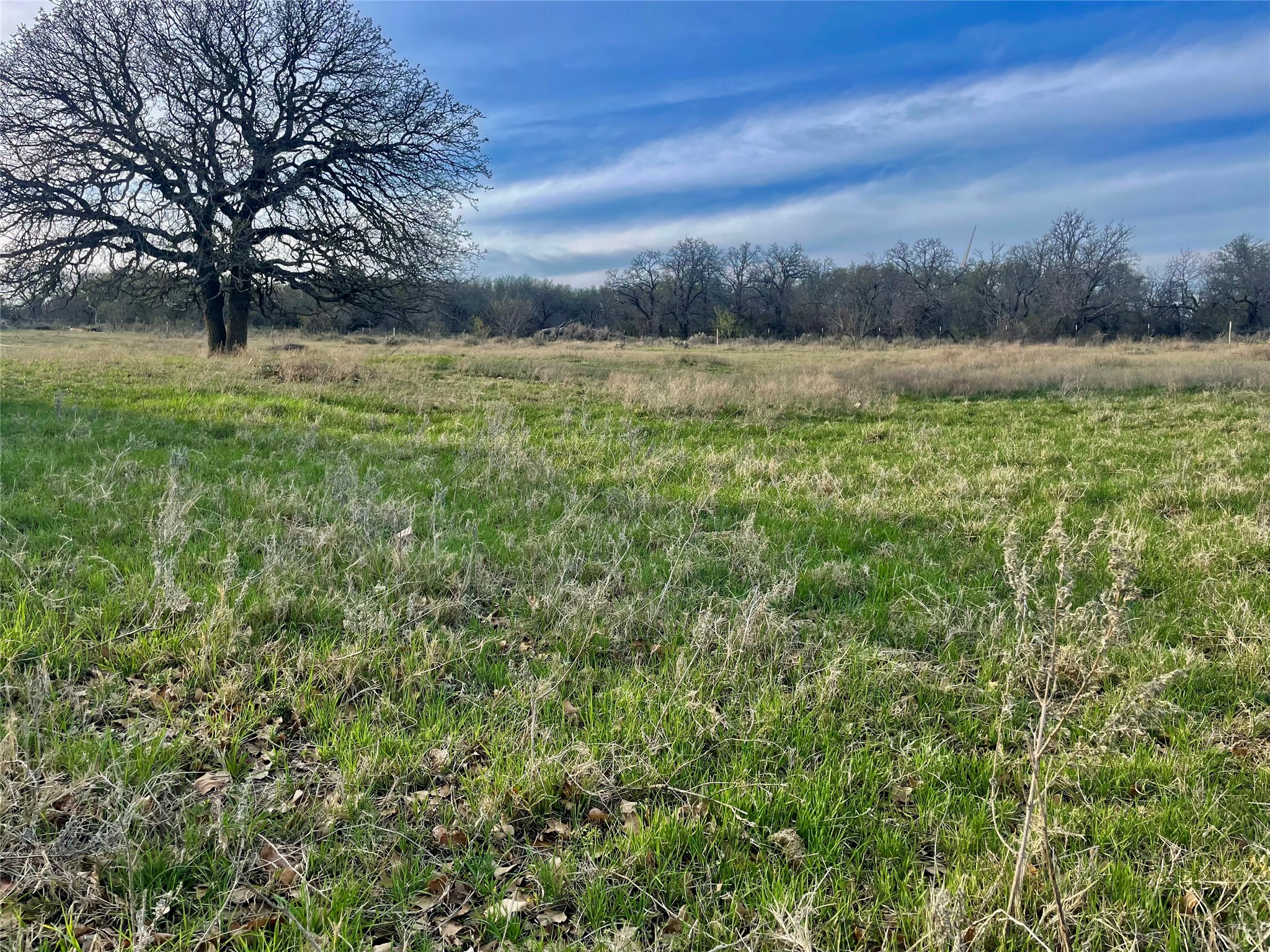 000 Highway 590 Comanche TX 76442