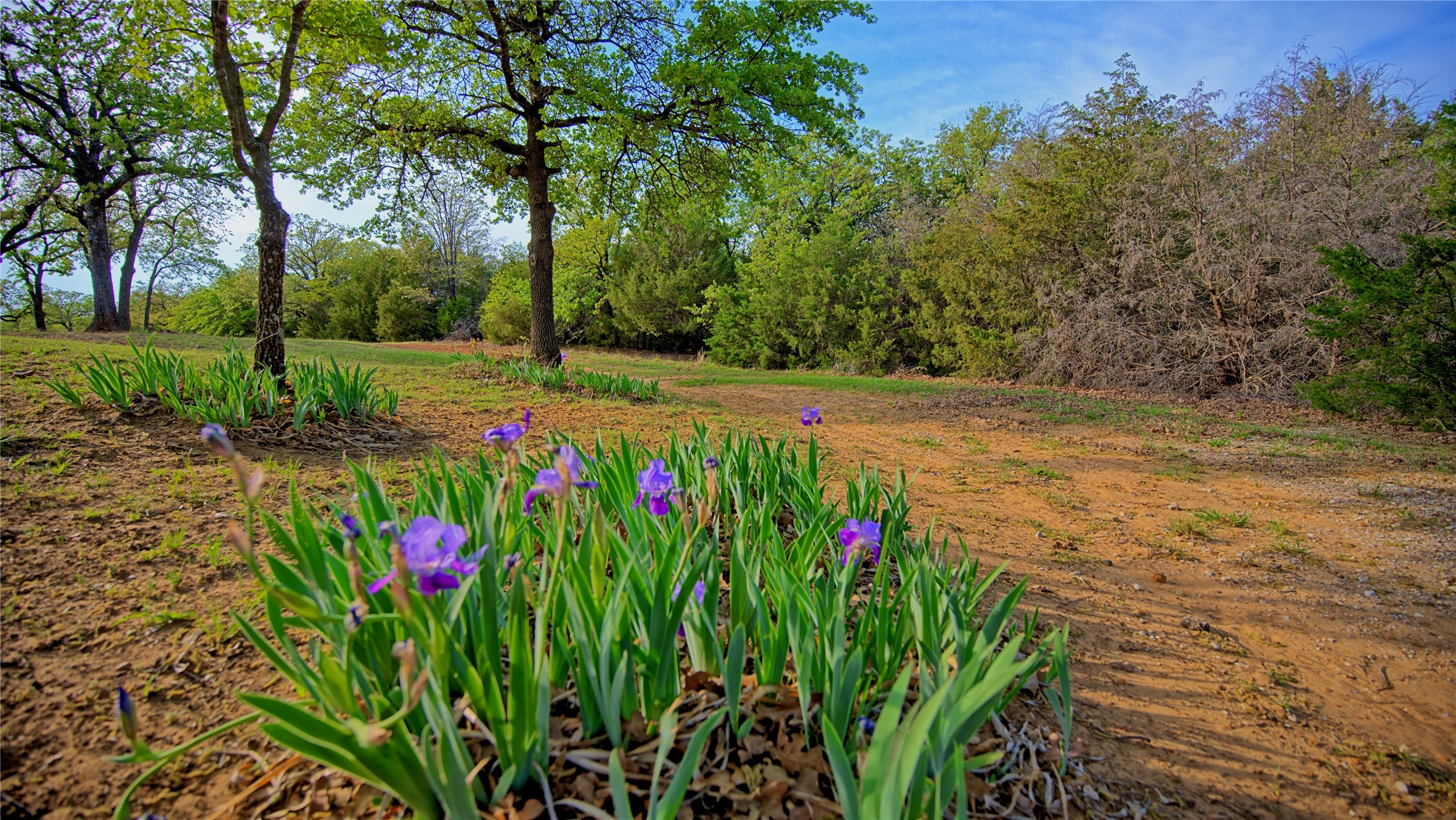 Tbd Storey Road Nocona TX 76255