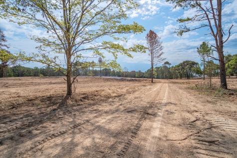 Tract 2 - Tbd County Road 4307 Larue TX 75770
