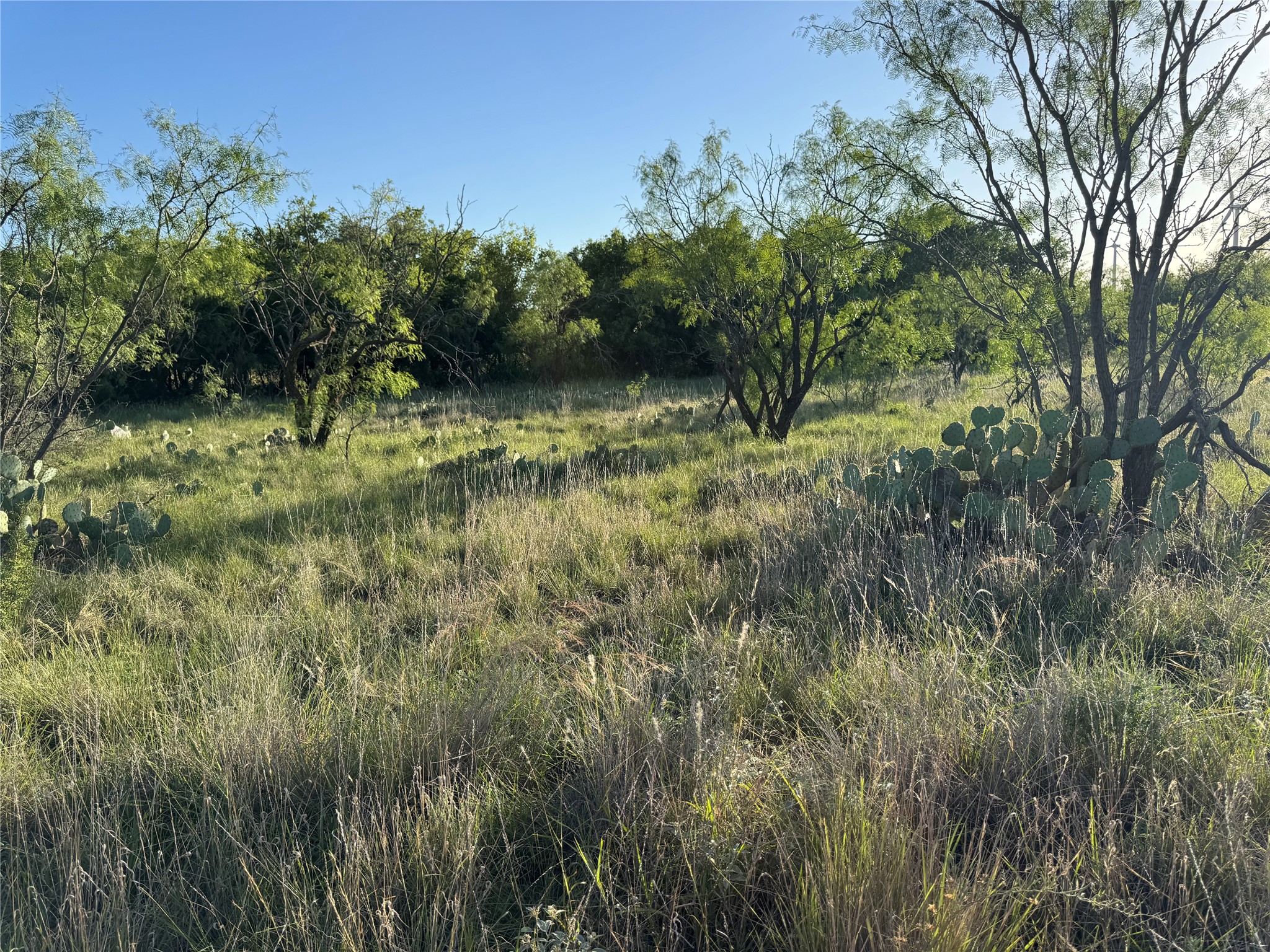 Tbd I-20 Loraine TX 79532