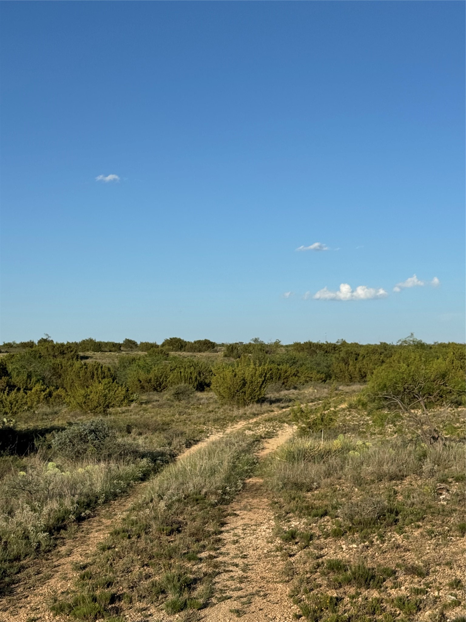 Tbd I-20 Loraine TX 79532