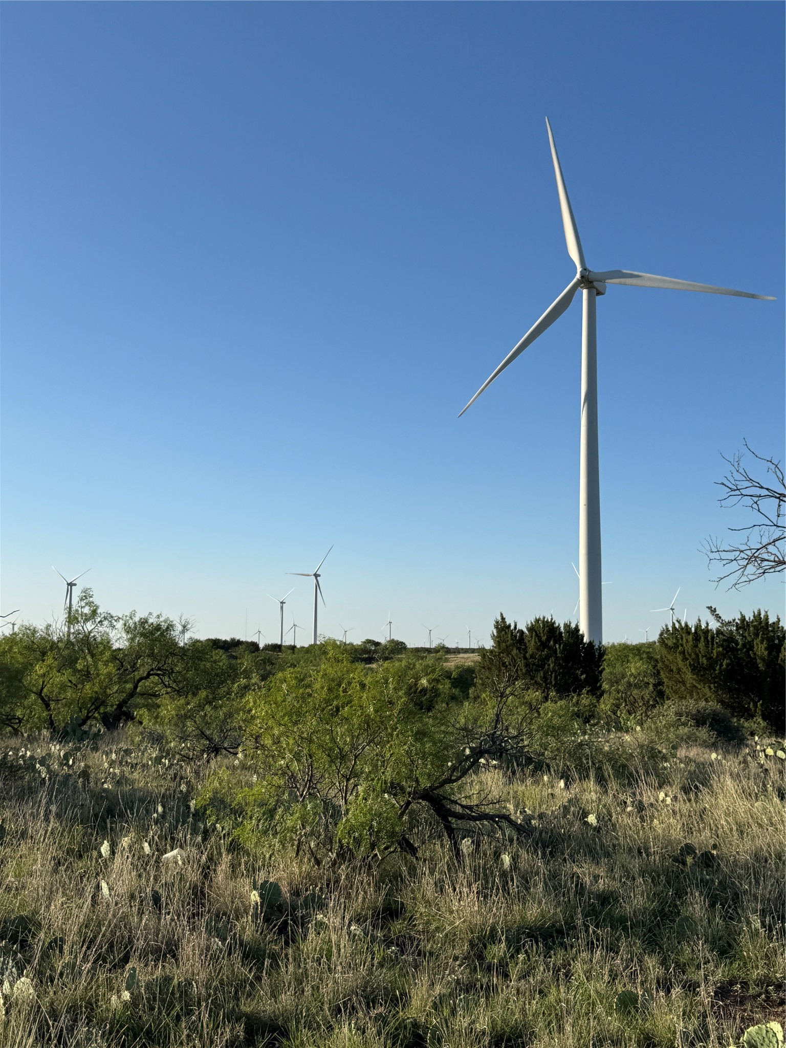 Tbd I-20 Loraine TX 79532