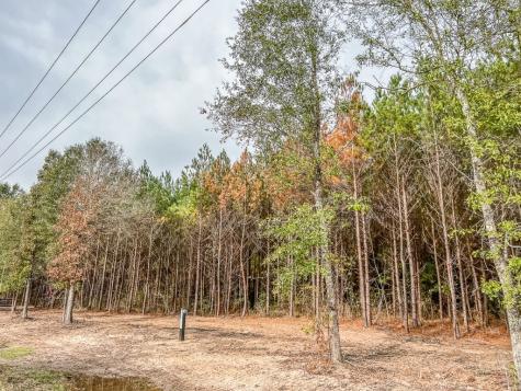 011 Cr 2307 Cleveland TX 77327