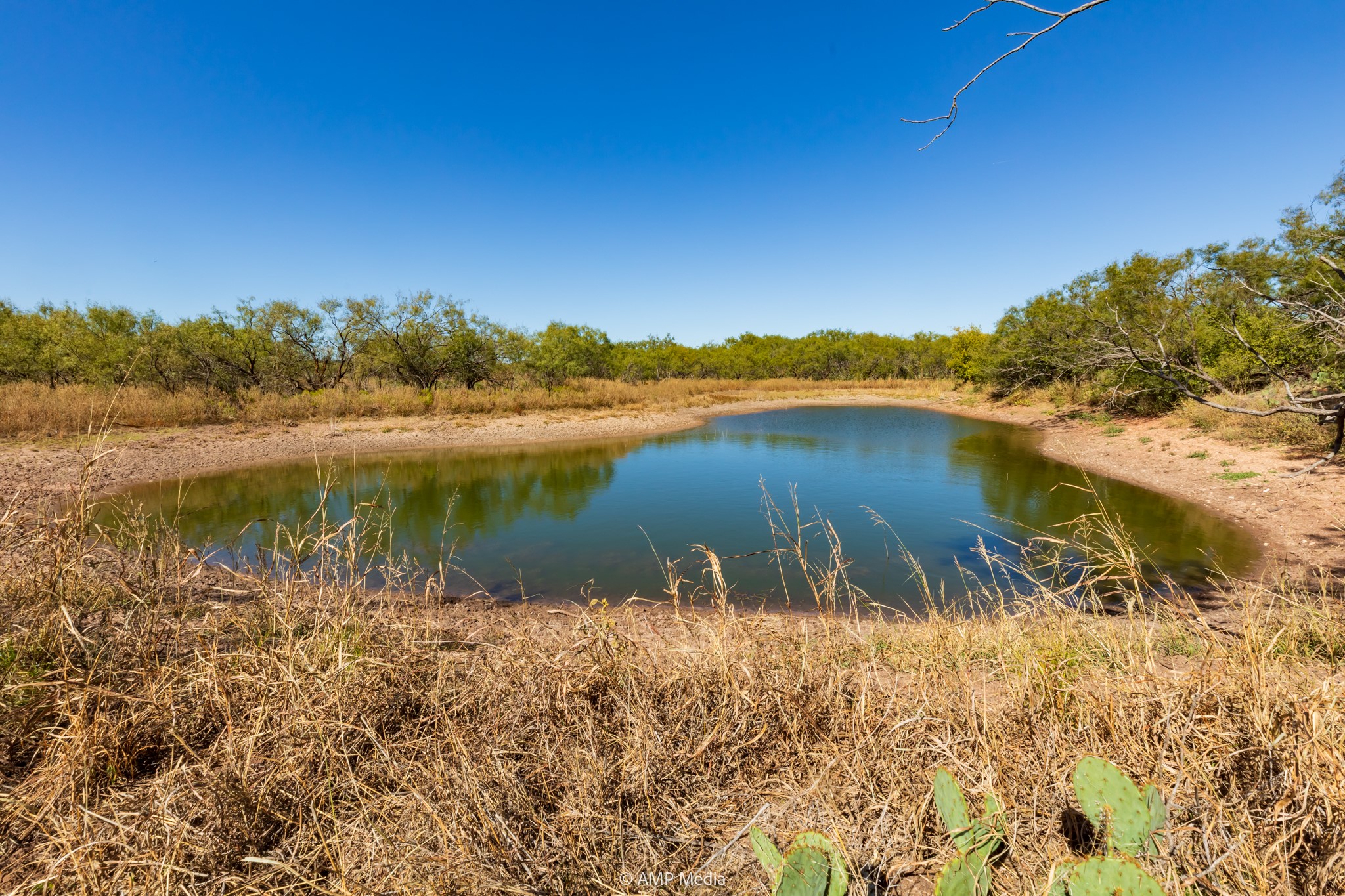 Tbd Us Highway 83 N Ovalo TX 79541