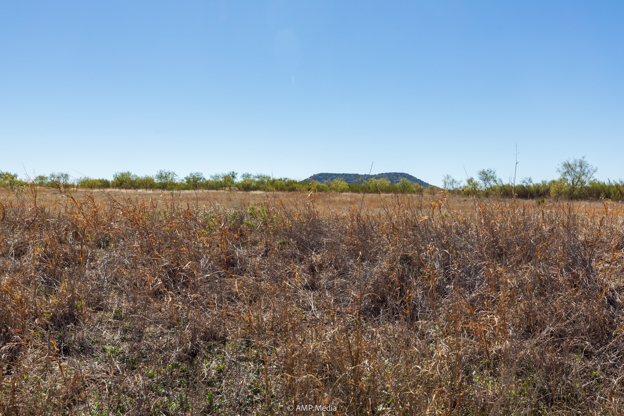 Tbd Us Highway 83 N Ovalo TX 79541
