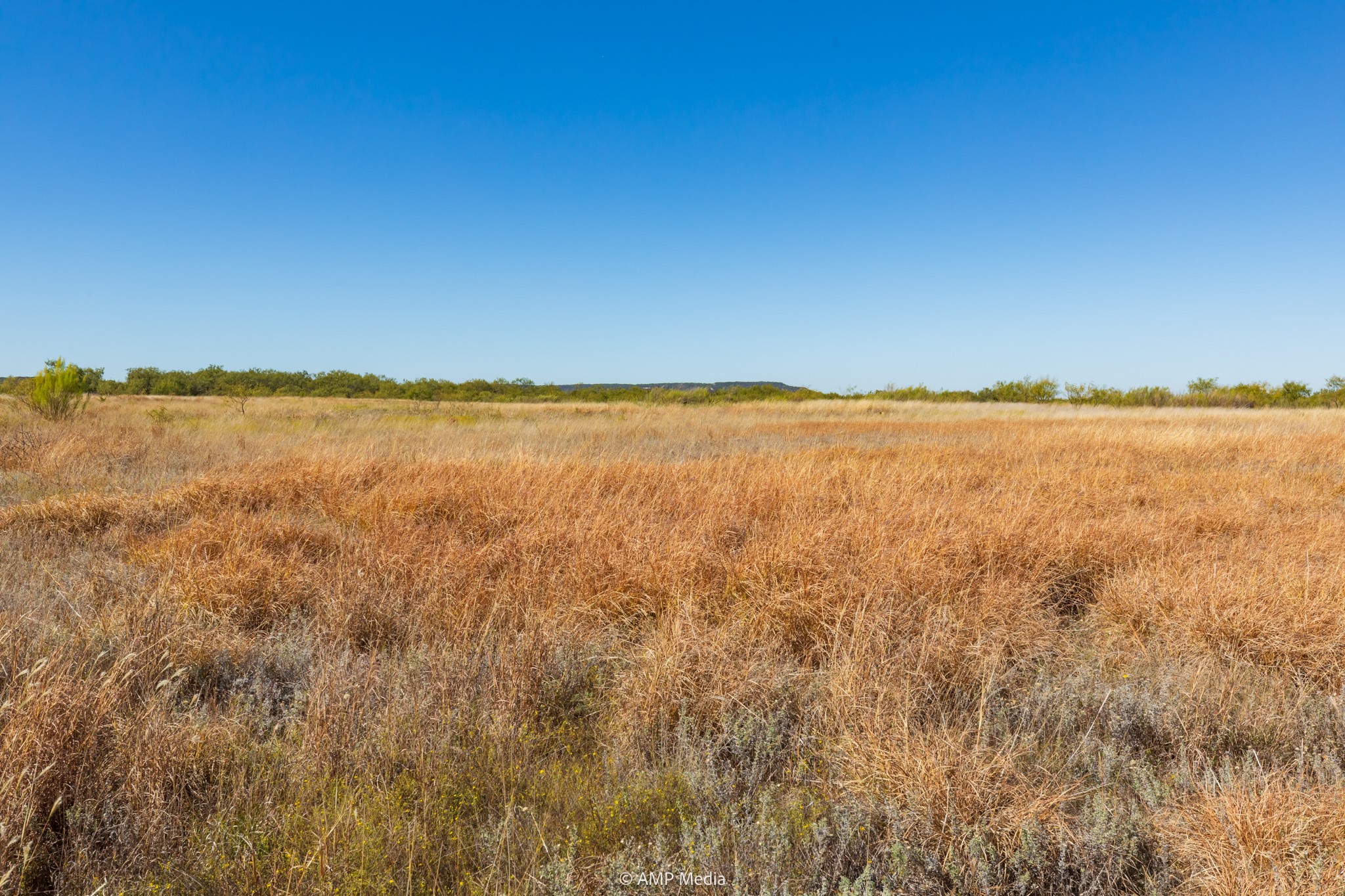 Tbd Us Highway 83 N Ovalo TX 79541