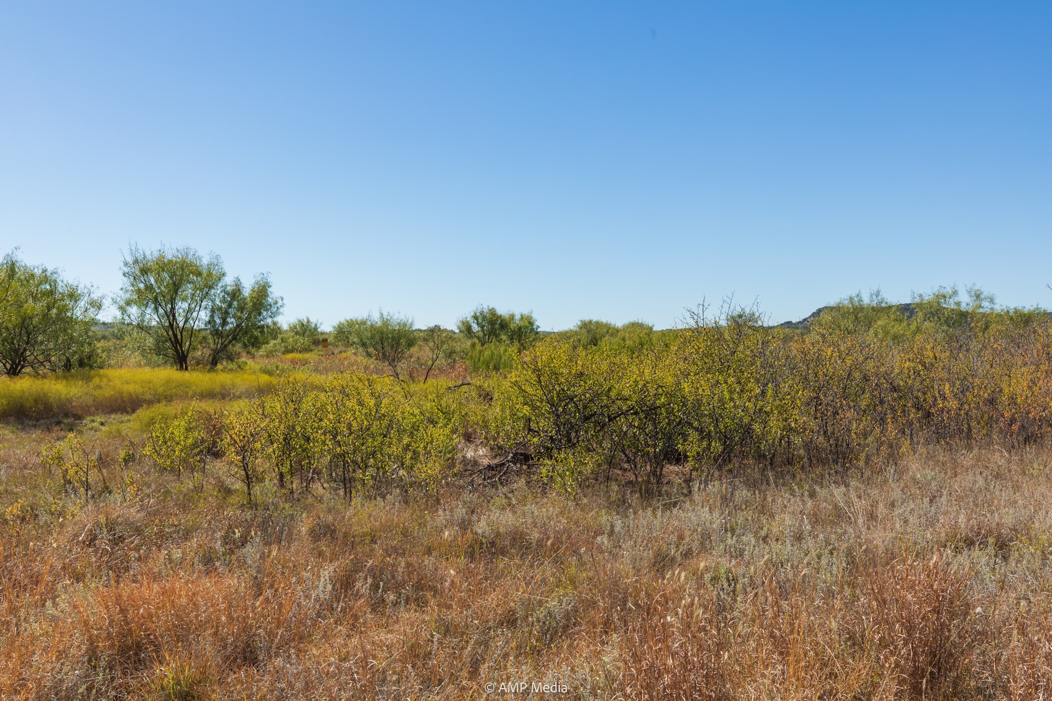 Tbd Us Highway 83 N Ovalo TX 79541