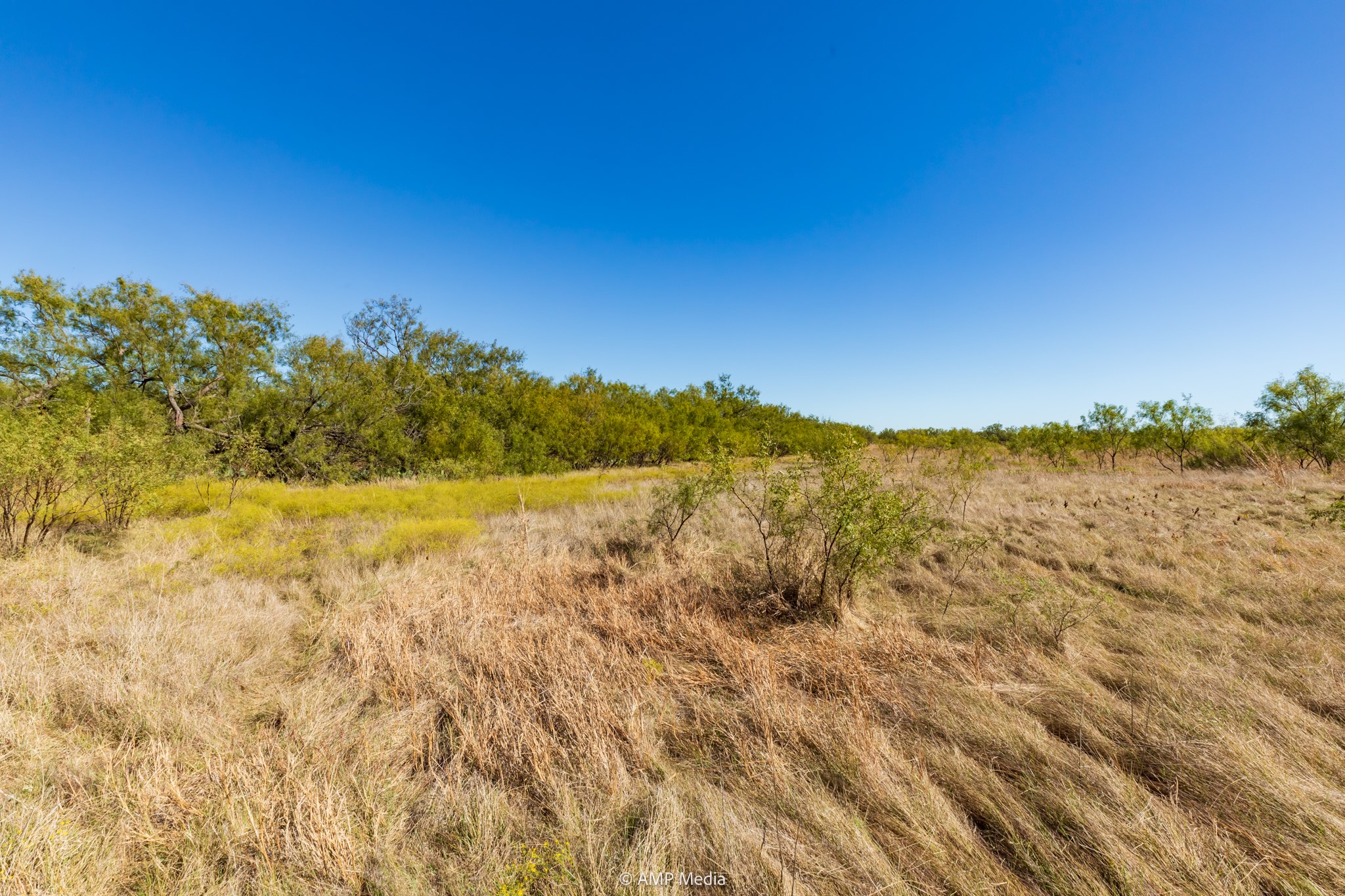 Tbd Us Highway 83 N Ovalo TX 79541