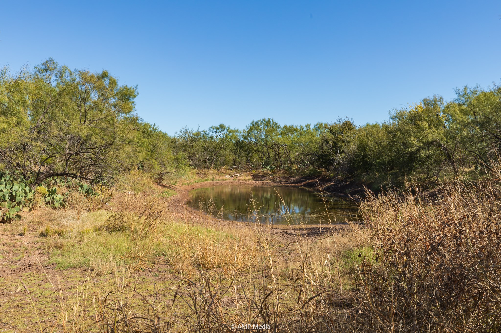 Tbd Us Highway 83 N Ovalo TX 79541