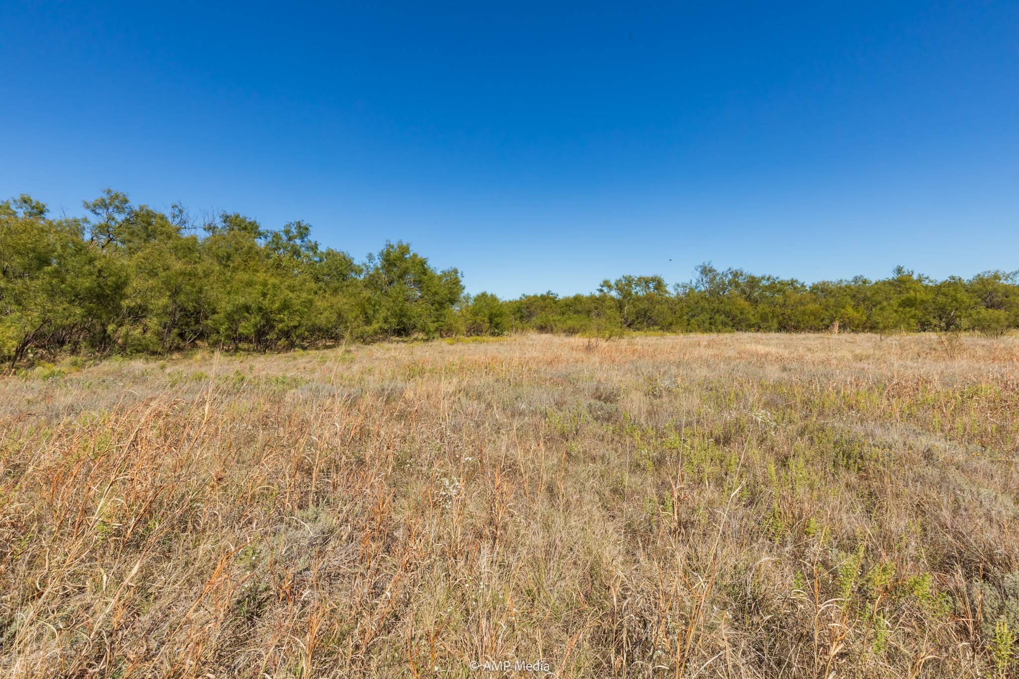 Tbd Us Highway 83 N Ovalo TX 79541