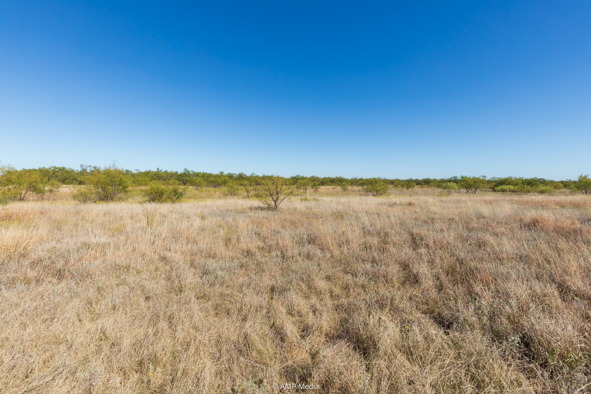 Tbd Us Highway 83 N Ovalo TX 79541