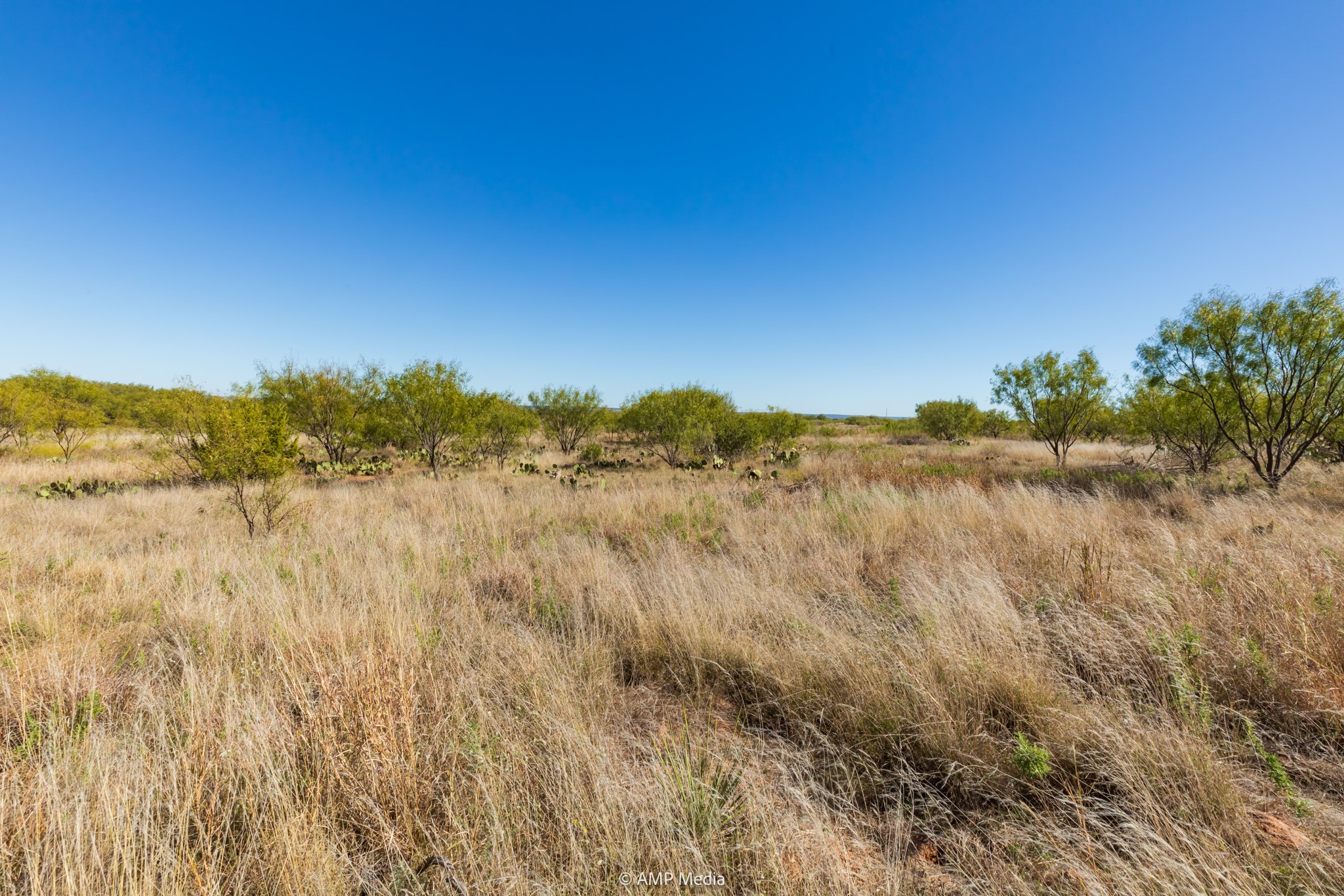 Tbd Us Highway 83 N Ovalo TX 79541