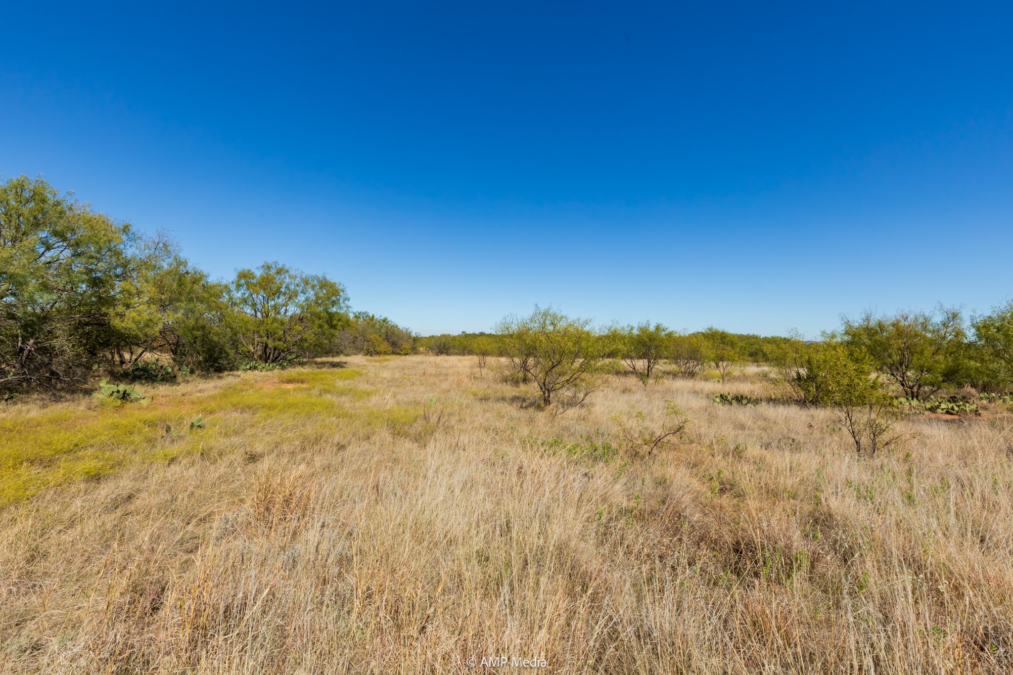 Tbd Us Highway 83 N Ovalo TX 79541