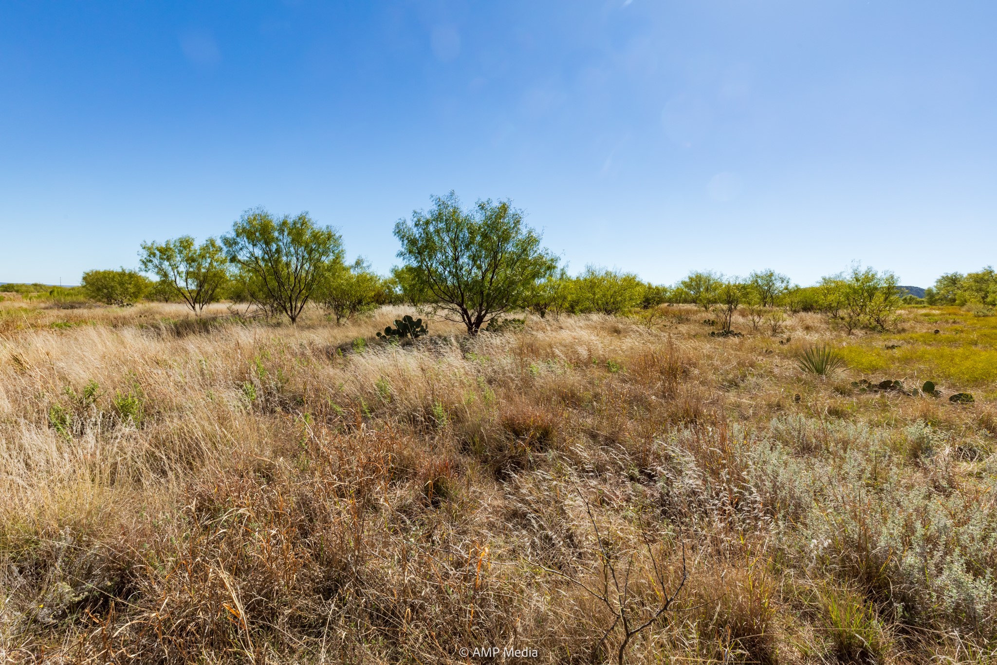 Tbd Us Highway 83 N Ovalo TX 79541