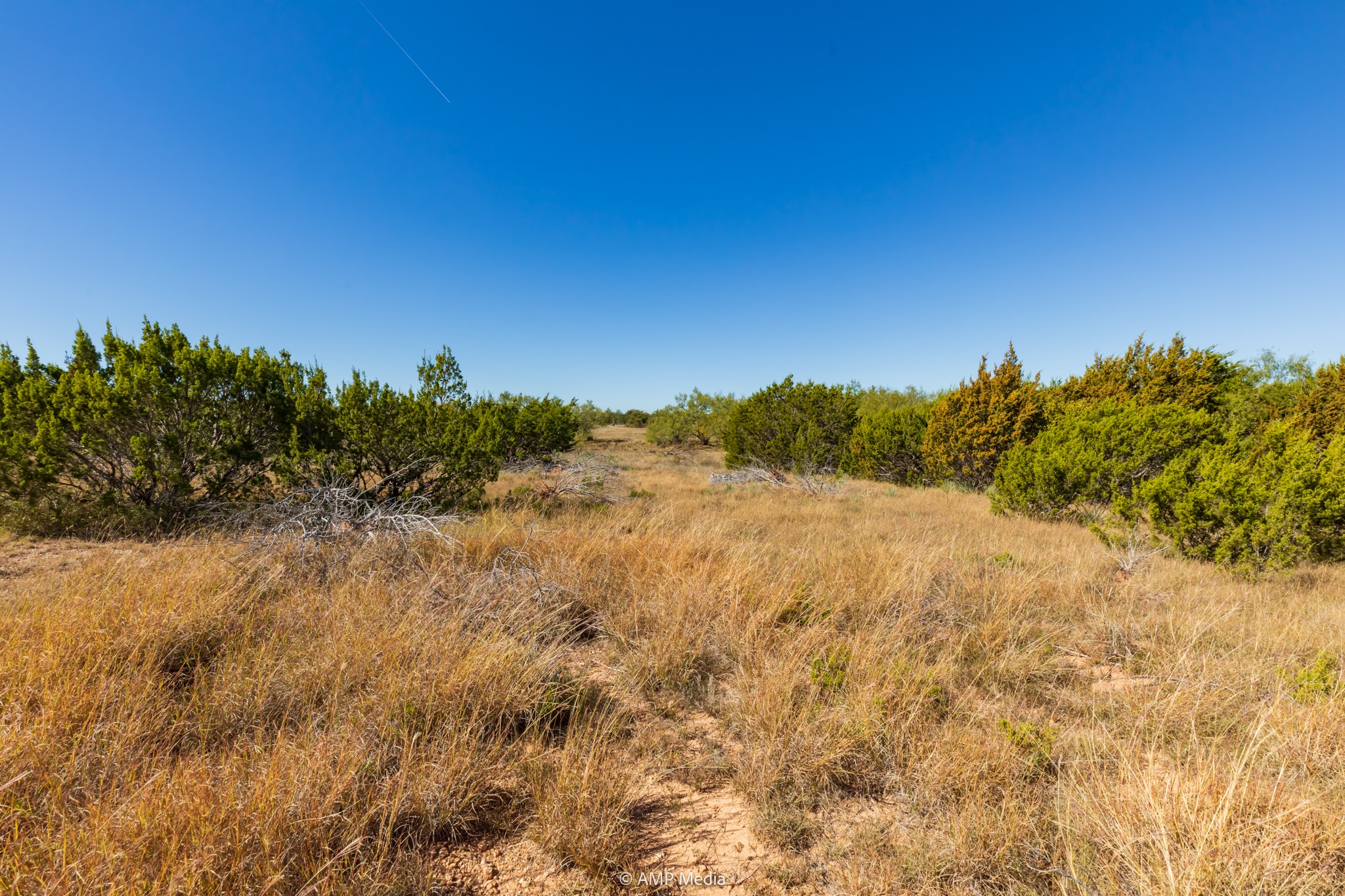 Tbd Us Highway 83 N Ovalo TX 79541