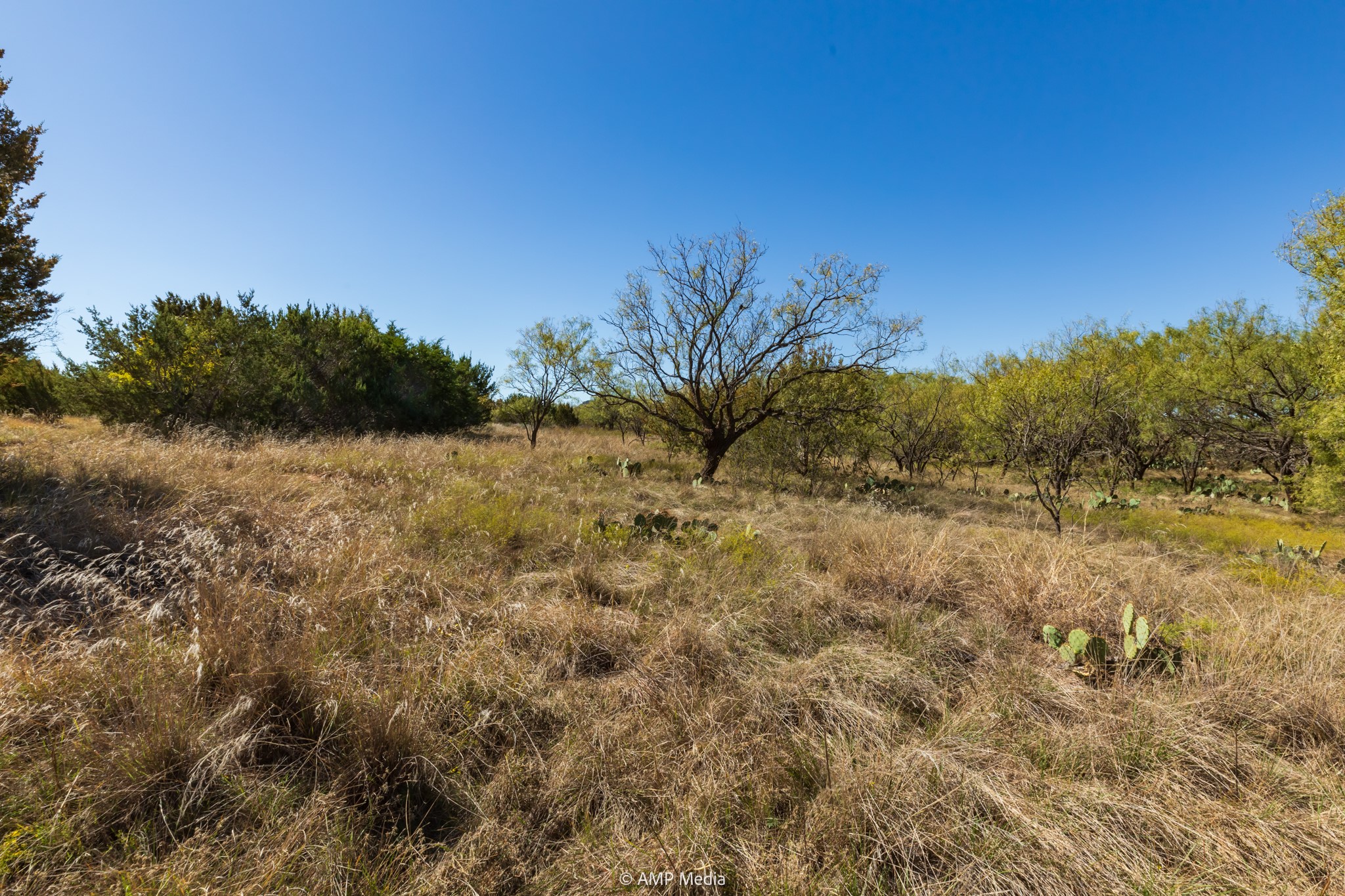 Tbd Us Highway 83 N Ovalo TX 79541