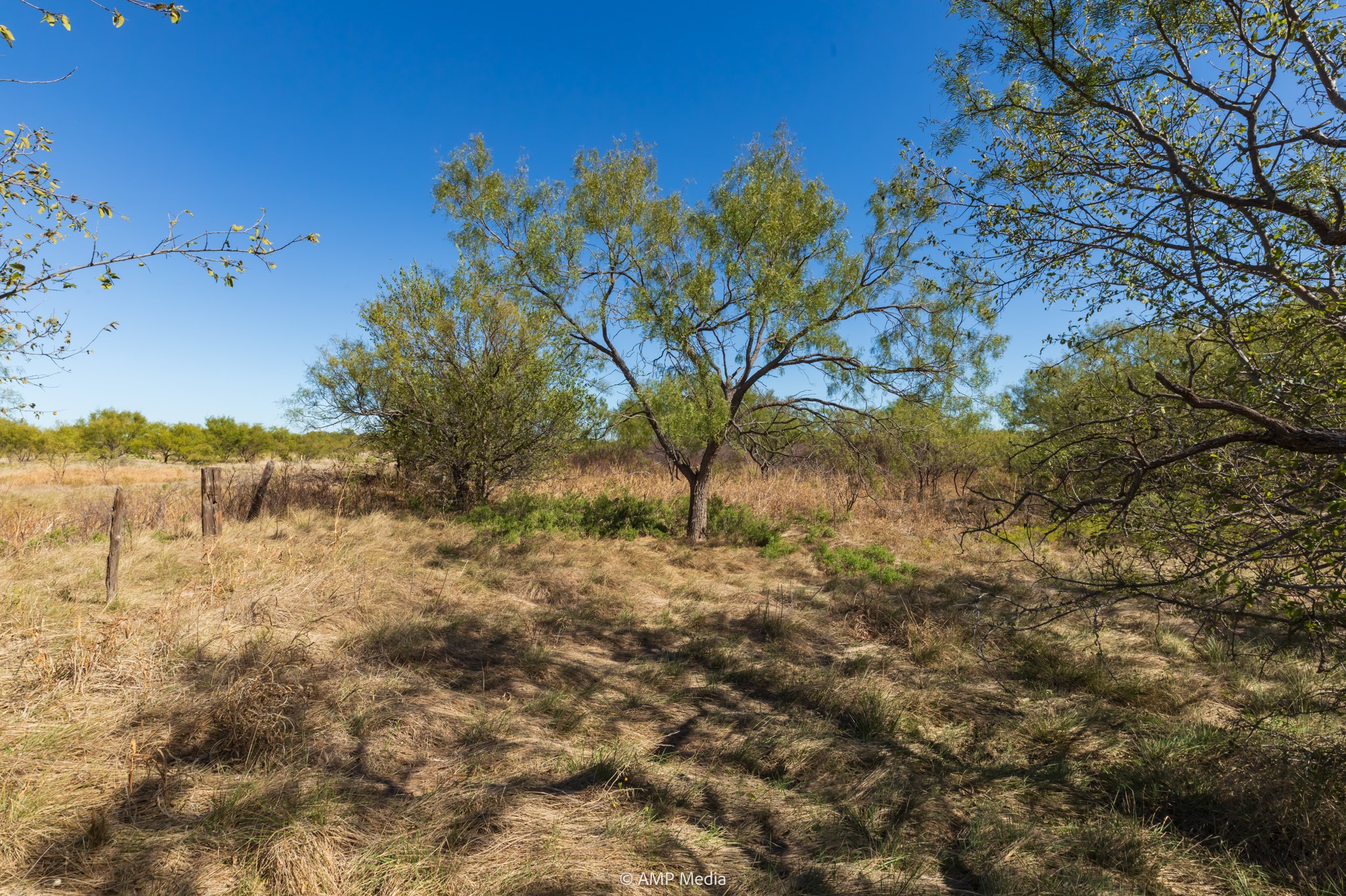 Tbd Us Highway 83 N Ovalo TX 79541