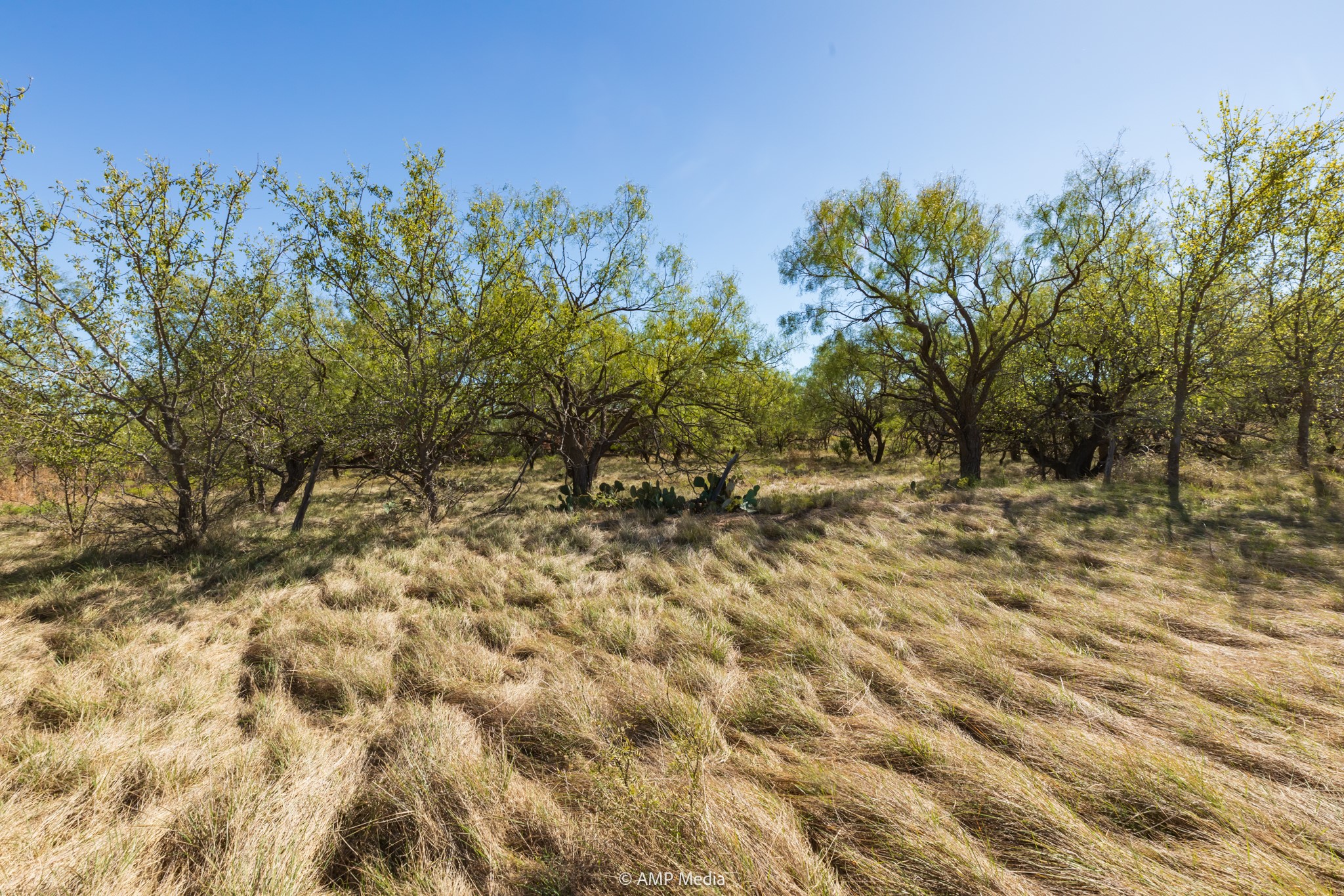 Tbd Us Highway 83 N Ovalo TX 79541
